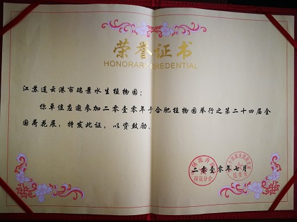 24ȫɻչչλ